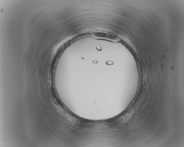 X0000073920979200609082233