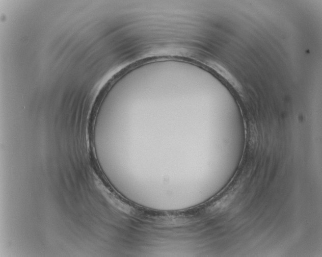 X0000073920980200609082233