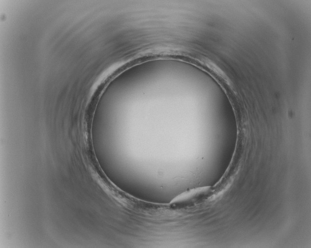 X0000073920981200609082233