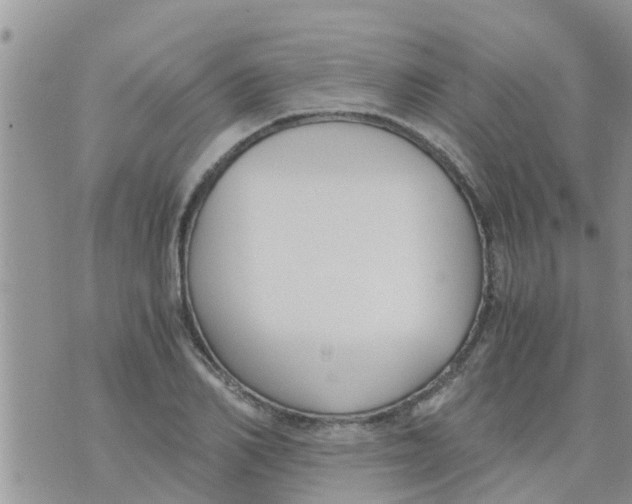 X0000073920982200609082233