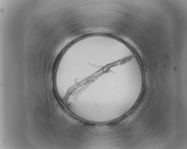 X0000073920983200609082233