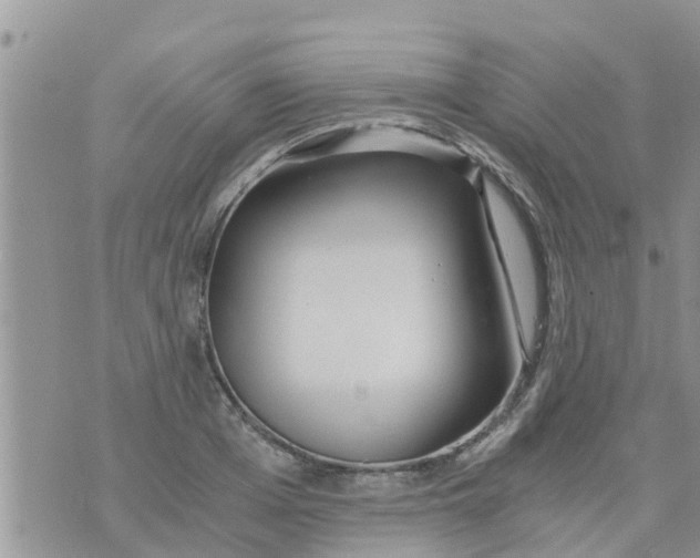 X0000073920985200609082233