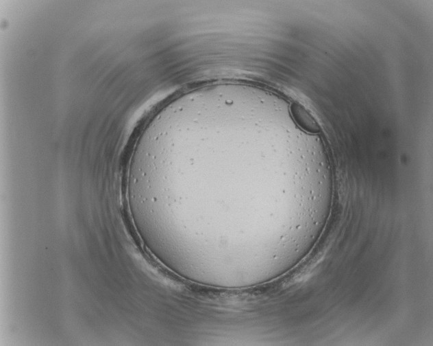 X0000073920987200609082233