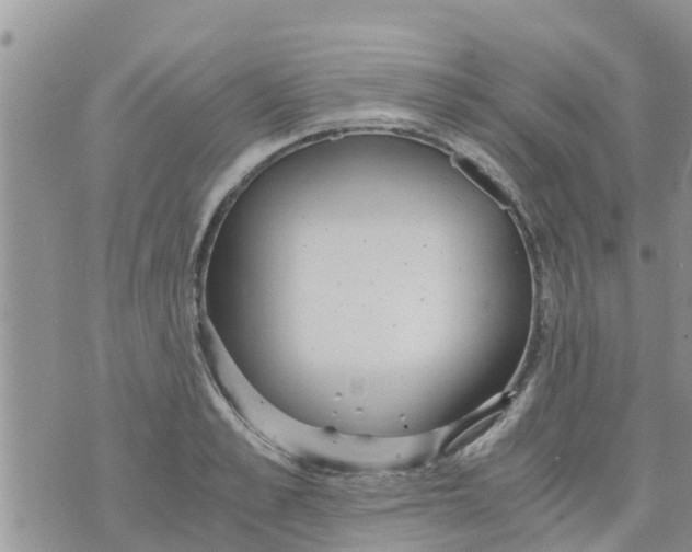 X0000073920989200609082233