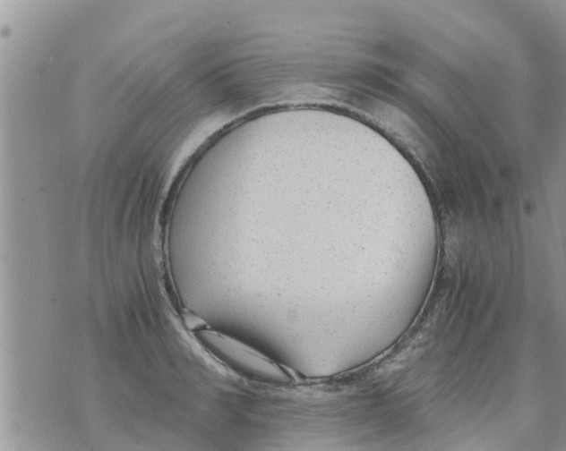 X0000073920990200609082233