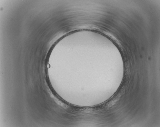 X0000073920991200609082233