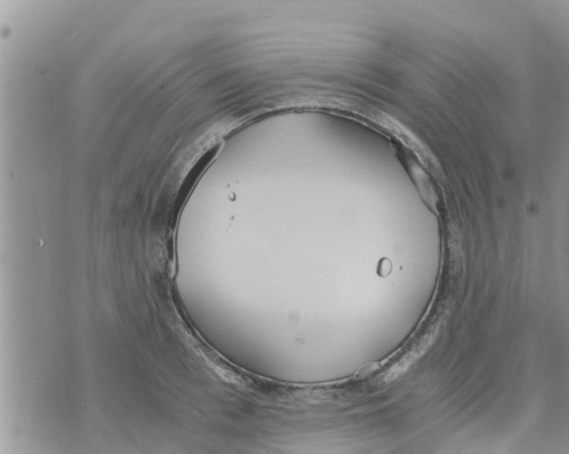 X0000073920993200609082233