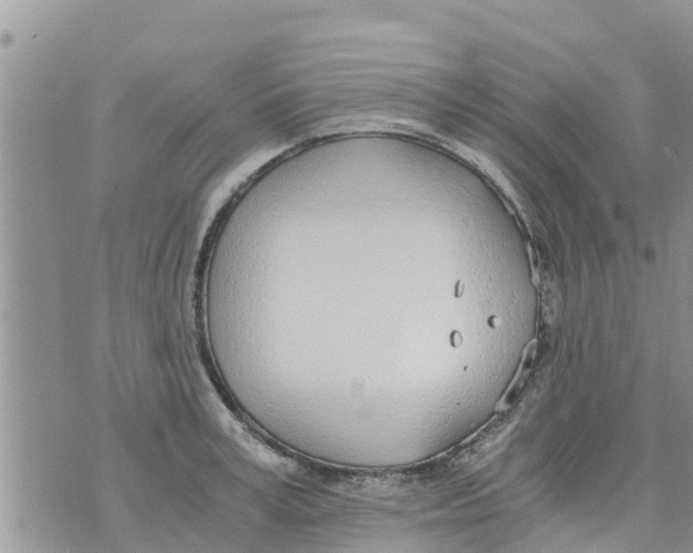 X0000073920995200609082233