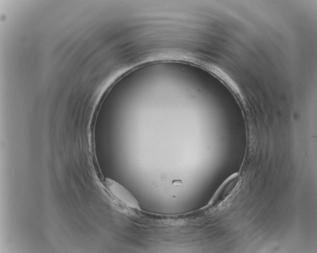 X0000073920996200609082233