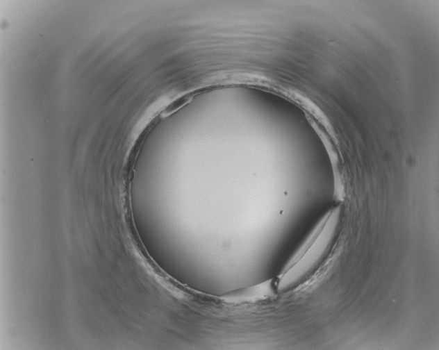 X0000073920997200609082233