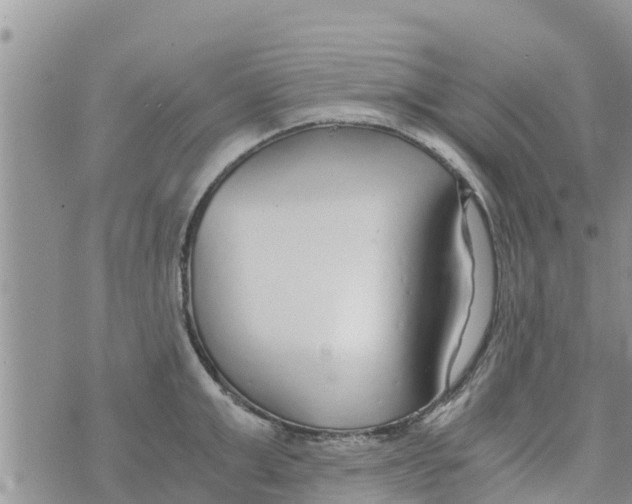 X0000073920999200609082233