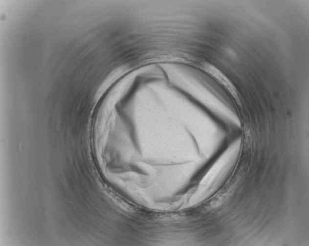 X0000073921002200609082233