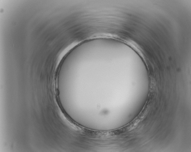 X0000073921003200609082233