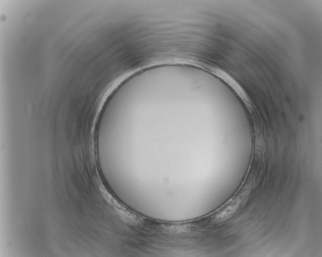 X0000073921004200609082233