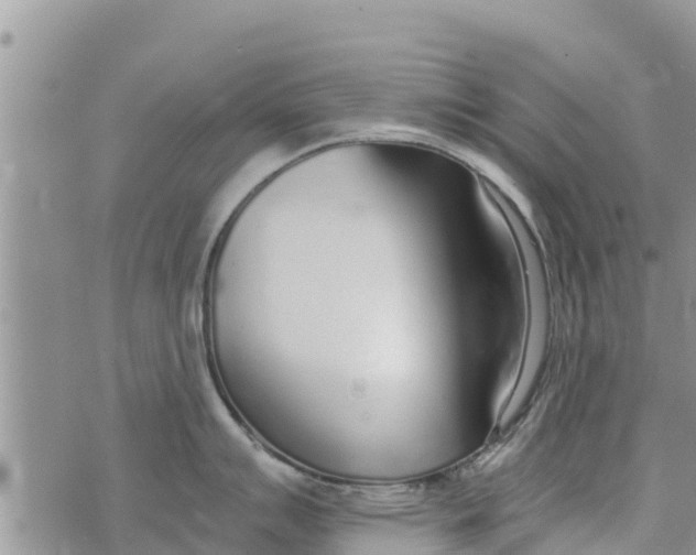 X0000073921007200609082233