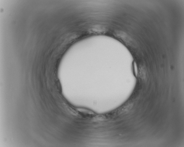 X0000073921009200609082232