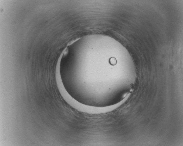 X0000073921010200609082232