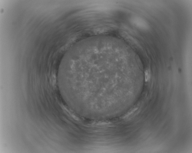 X0000073921011200609082232