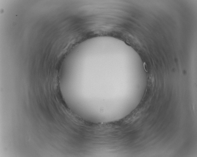 X0000073921012200609082232