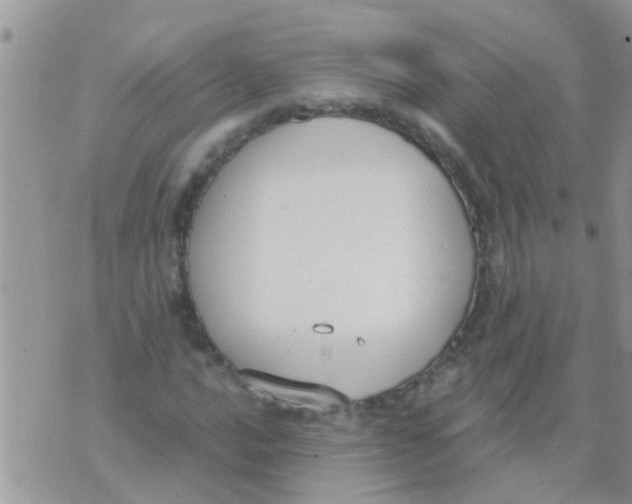 X0000073921016200609082232