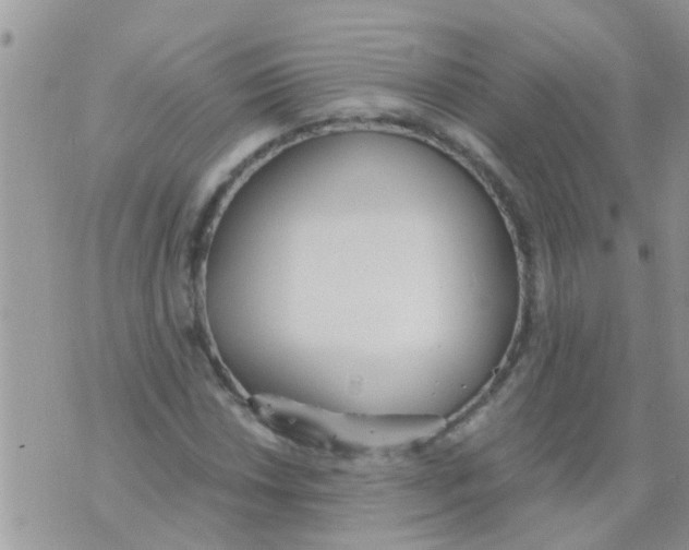 X0000073921018200609082232