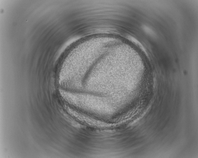 X0000073921019200609082232