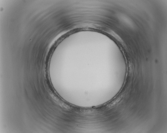 X0000073921020200609082232