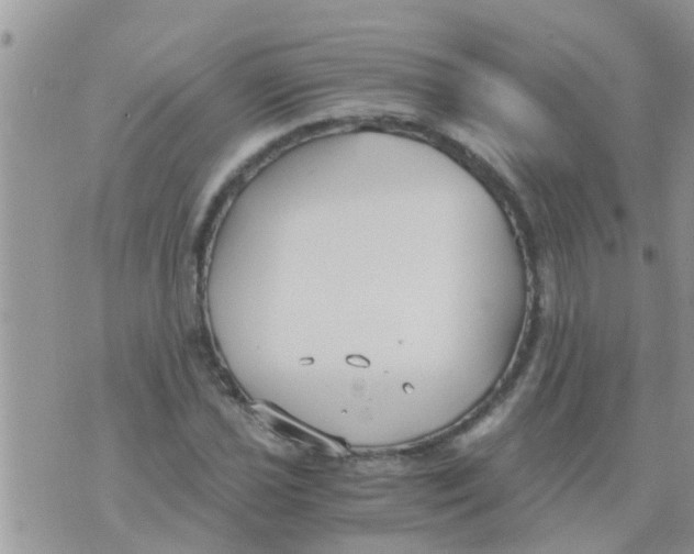 X0000073921021200609082232