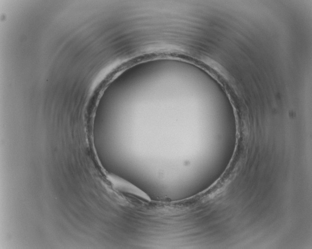 X0000073921022200609082232