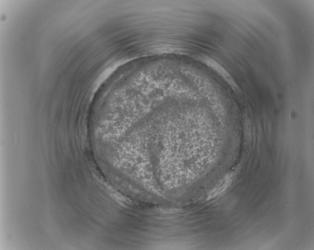 X0000073921023200609082232