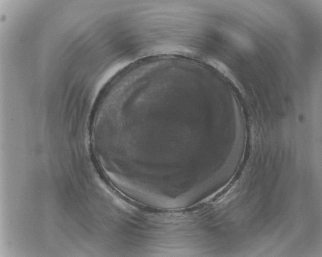 X0000073921024200609082232