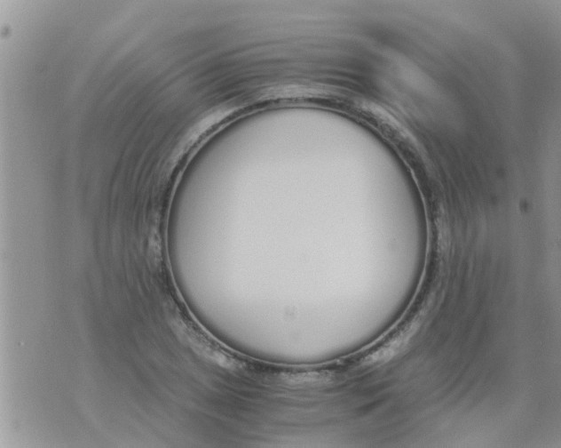 X0000073921025200609082232