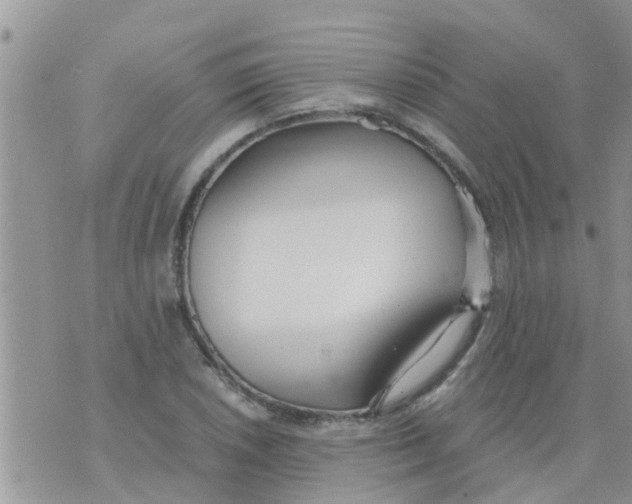 X0000073921026200609082232