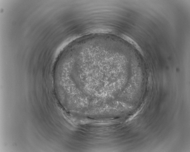 X0000073921027200609082232