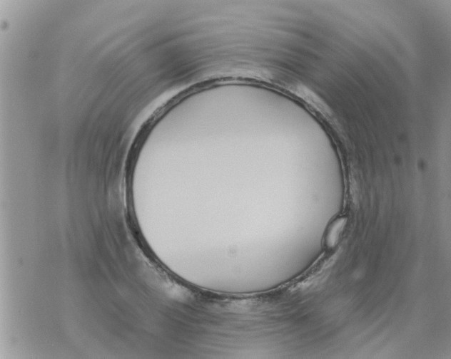 X0000073921028200609082232