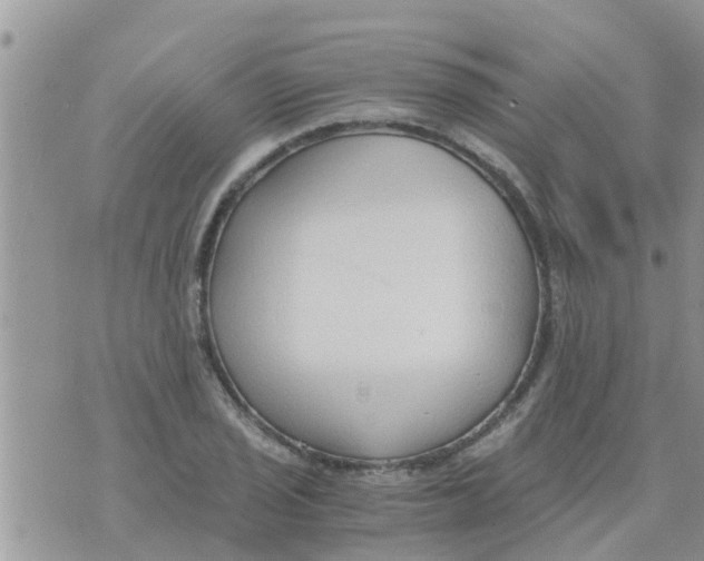 X0000073921029200609082233