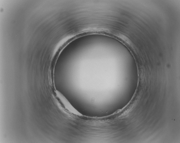 X0000073921030200609082233