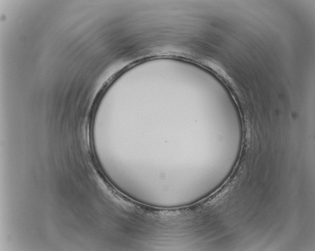 X0000073921032200609082233