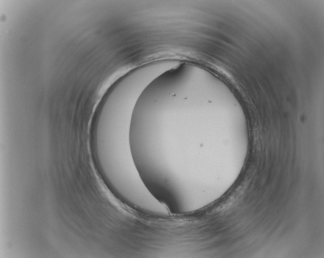 X0000073921034200609082233