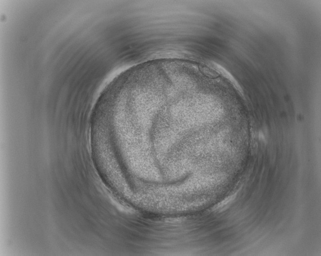 X0000073921035200609082233