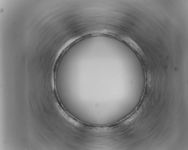 X0000073921036200609082233