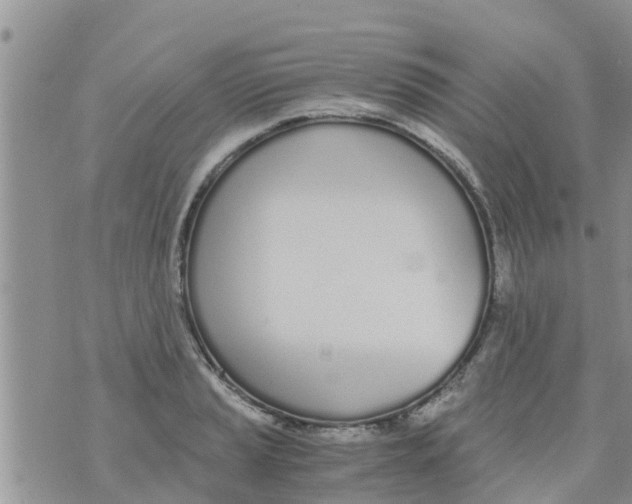 X0000073921037200609082233