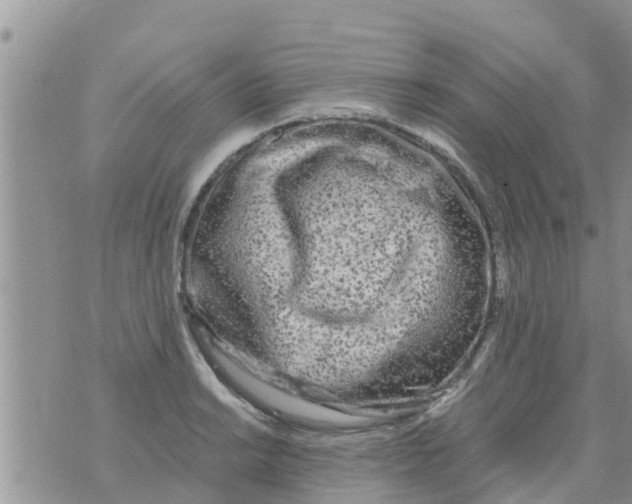 X0000073921038200609082233