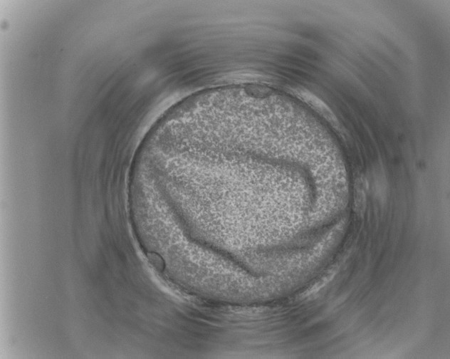 X0000073921039200609082233