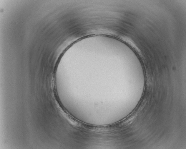 X0000073921040200609082233