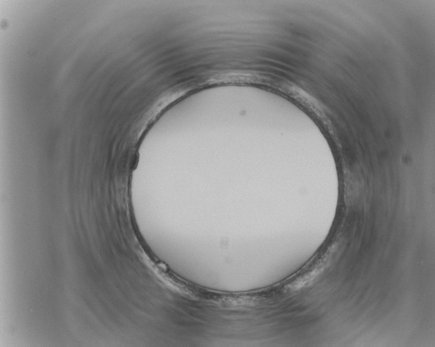 X0000073921041200609082233