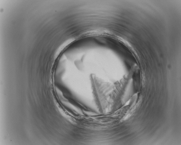 X0000073921042200609082233