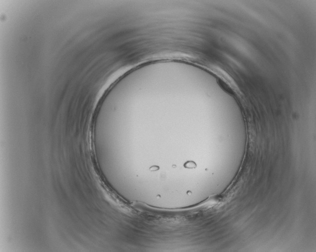 X0000073921044200609082233