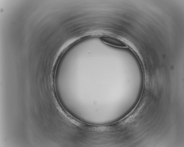 X0000073921045200609082233