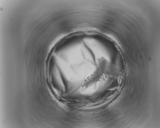 X0000073921046200609082233